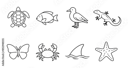 Outlined icons of marine and coastal animals on gray background