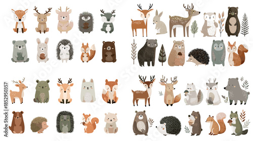 Cute animal illustration collection featuring woodland and wildlife creatures in soft hand painted style perfect for children books nursery decor education and friendly nature themed designs