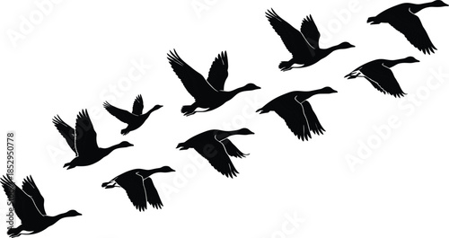 Flying geese silhouettes in diagonal formation black vector illustration isolated on white background wildlife migration flock concept design nature art