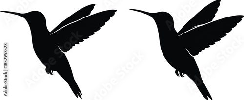 Flying hummingbird silhouette vector illustration isolated on white background minimal bird icon set for logo design branding print web decor