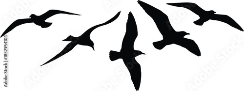 Flying seagull silhouettes set black vector illustration isolated on white background coastal seabird wildlife freedom motion design concept minimalist collection