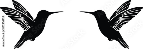 Hummingbird silhouettes facing each other with spread wings isolated on white background elegant wildlife nature vector illustration symmetry design concept