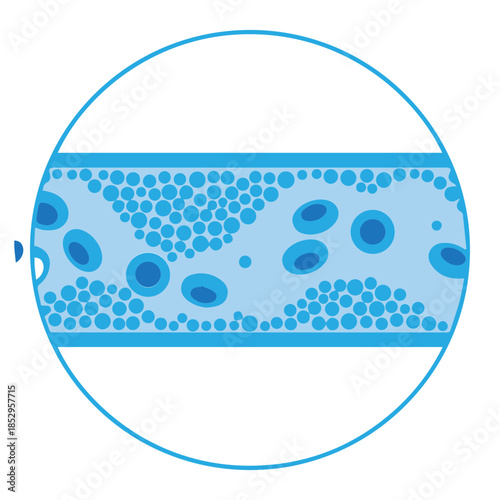 Blood flow illustration