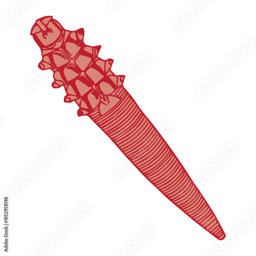 Red Microscopic Organism