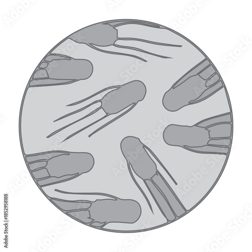 Bacterial Cells Illustration