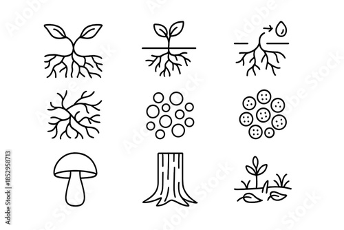 Symbiotic Fungi Icons. Line style icons of Symbiotic Fungi: Mycorrhizal Network, Plant Root, Nutrient Exchange, Underground Web;