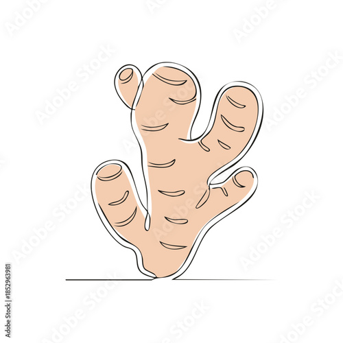 Single Line Art Ginger Root Continuous Drawing Spice Illustration
