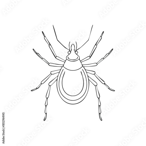 Detailed line drawing of a tick viewed from above, showing detailed anatomy, legs, and body shape, suitable for educational materials.