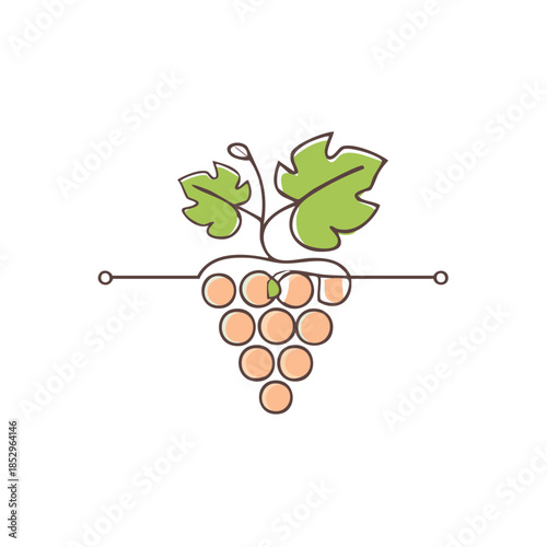 Delicate line art drawing depicting a bunch of grapes with green leaves symbolizing vineyard harvest and fruitfulness