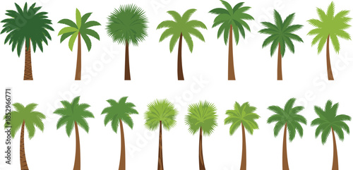Tropical palm trees vector illustration collection with various shapes lush green foliage isolated on white background