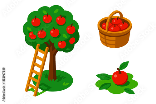 Apple Orchard Harvest. Isometric vector illustration set Apple Orchard Ladder: leaning ladder on apple tree, ripe apples on