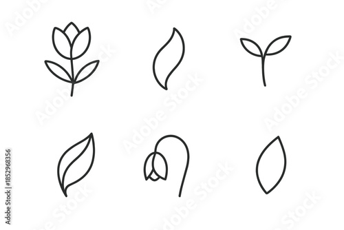 Blossoming Minimalist Icons. Line style icons of Blossoming Forms: early bloom, curved petal shape, tender sprout, small folded