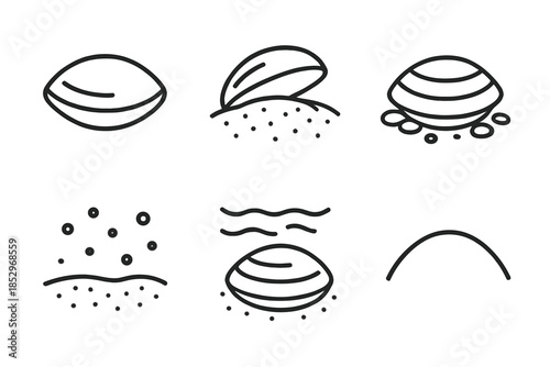 Buried Clam Icons. Line style icons of Buried Clam Scene: closed form, sandy cover, pebble dot, seafloor texture, water shimmer,