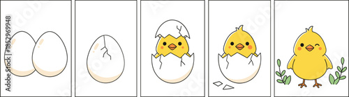 Cute baby chick hatching from egg vector illustration sequence with adorable cartoon farm animal stages