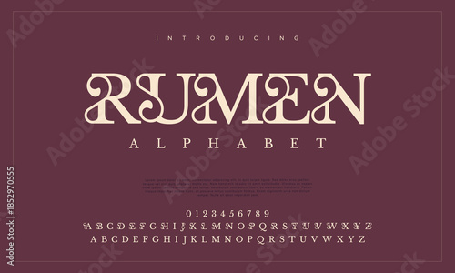 Elegant Font Uppercase Lowercase and Number. Typography luxury classic lettering serif fonts decorative wedding vintage retro logos, design for fashion, beauty shop and brand. vector illustration