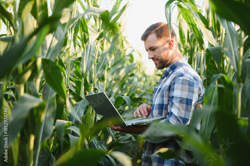 Fotografi Farmer using laptop in corn field for precision agriculture