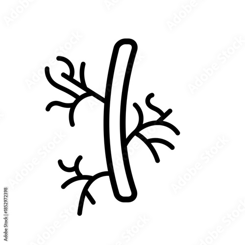 Human artery icon. Human artery symbol created in a simple thin liner icon style.