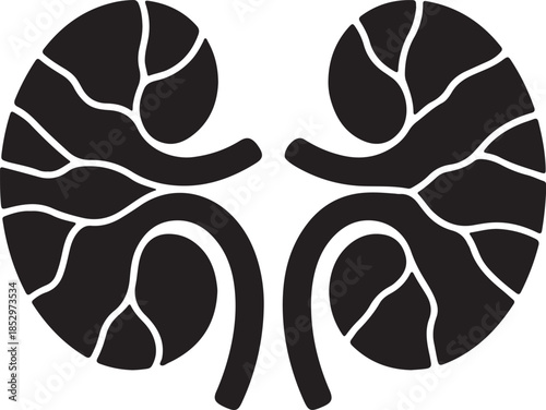 Minimalist black silhouette icon of human kidneys