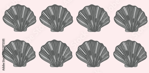 seashells scallop pattern background vector