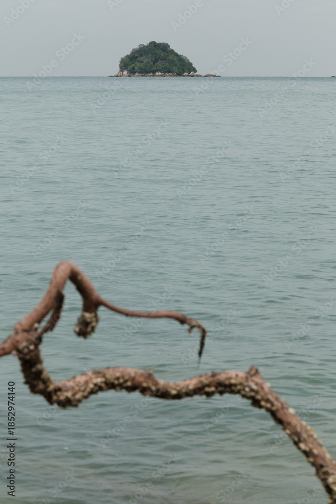 Fototapeta premium Scenic view of a small lush green island in the calm sea, framed by a weathered driftwood branch in the foreground. Evokes the serenity, solitude, and raw beauty of a deserted tropical paradise