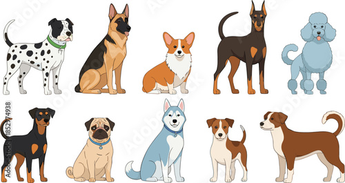 Cute domestic dog breeds vector illustration set with various poses isolated on white background