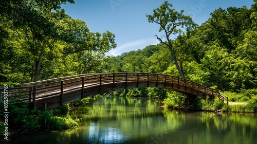 Wooden Bridge Spanning Serene River Amidst Lush Green Forest Under Clear Blue Sky.