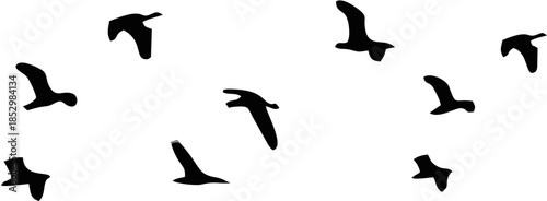 Bird sillhouette Flock black ...
