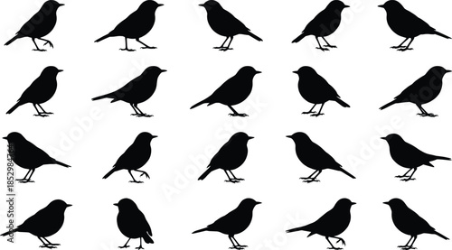 Small bird silhouettes mega set of perched standing songbirds black vector illustration isolated for wildlife nature design projects branding posters