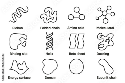 Protein Study Icons. Line style icons of protein study: ribbon diagram, folded chain, amino acid link, molecular ball-stick;