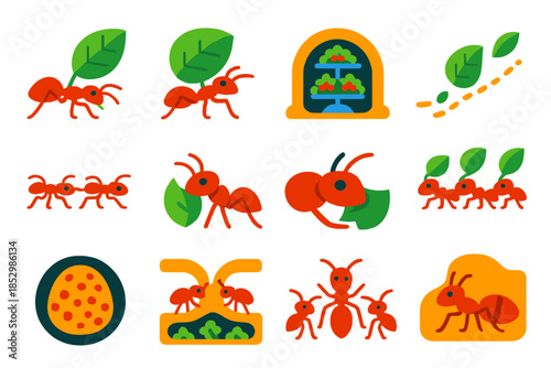 Leafcutter Ant Icons. Flat vector icons of leafcutter ants: ant cutting leaf, ant carrying leaf piece, fungus garden chamber, leaf