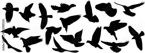Set of silhouettes of flying ...
