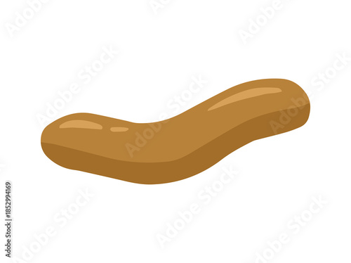 Human Feces Like a Smooth Soft Sausage Snake or Normal Type
