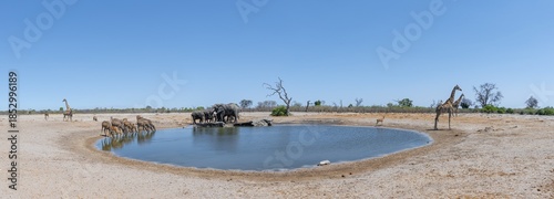 Elephant kudus and giraffes, various animals at the waterhole, Savuti, Chobe National Park National Park, Botswana