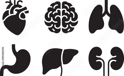 Human organ silhouettes