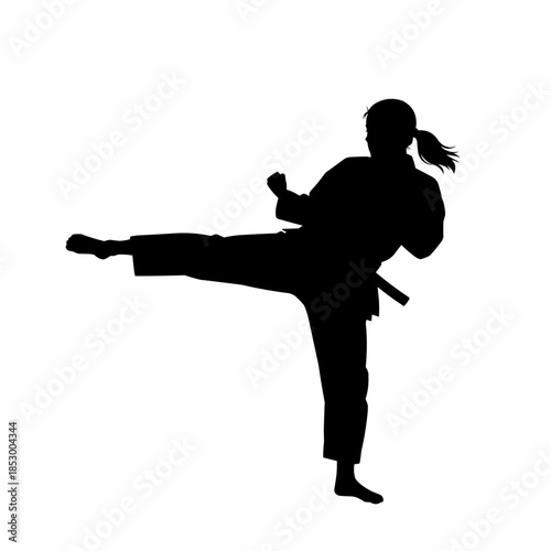 Silhouette Woman Martial Arts Kick Action