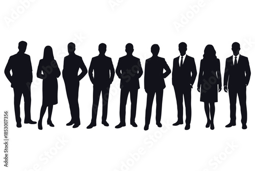 Diverse business professionals group isolated on white background, Vector, illustration
