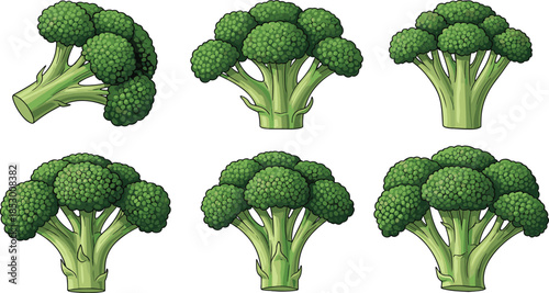 Collection of broccoli illustrations, fresh vegetable, green florets, healthy food, botanical drawing, organic produce, nutrient-rich, cartoon style, cooking ingredient