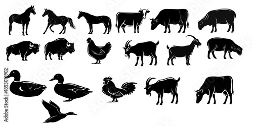 A collection of various animal silhouettes in a horizontal arrangement on a white background