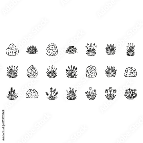 Collection of various succulent plants in compact arrangement.