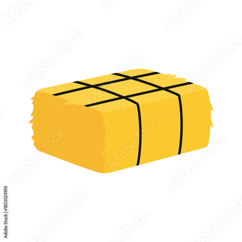 Yellow package tied with black string