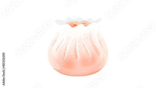 Steamed Dumpling Isolated on White Background