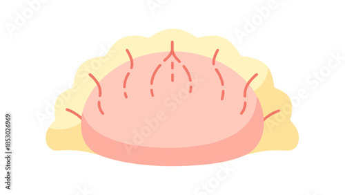 Savory Dumpling Snack Appetizer Isolated Simple Flat Design