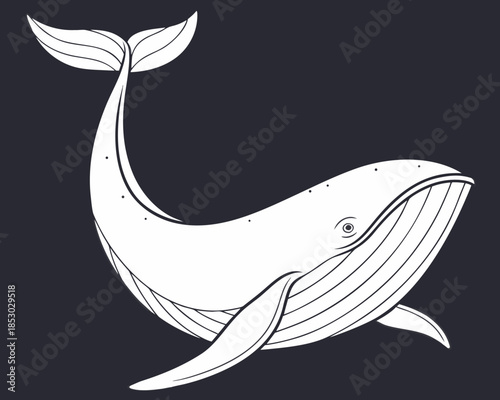 Whale illustration in outline style, marine mammal drawing, ocean life vector art