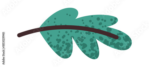 Oregano leaf green food seasoning