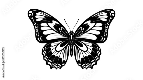 Elegant Butterfly Black and White Outline Isolated White Background