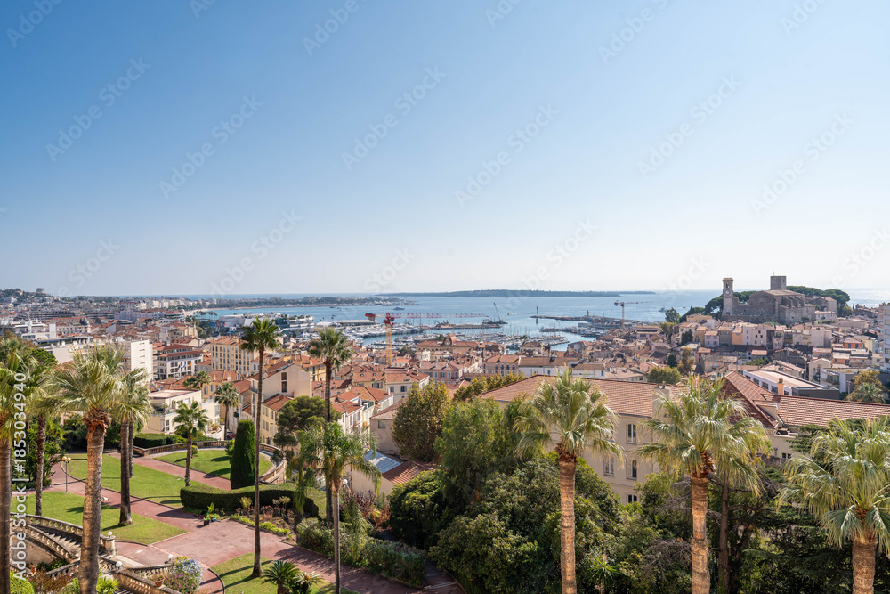 Fototapeta premium Panoramic mediterranean cityscape with coastal harbor, palm trees and blue sea under clear sky