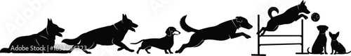 Dog agility training silhouette sequence, playful puppies jumping obstacle, obedience sport action, pet behavior illustration, black vector on white background