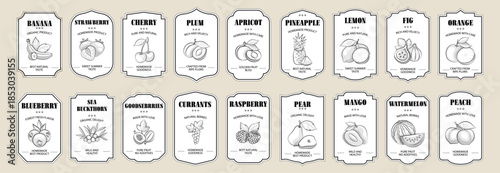 Vintage Black and White Label Set with Decorative Frames, Retro Badges and Royal Stickers