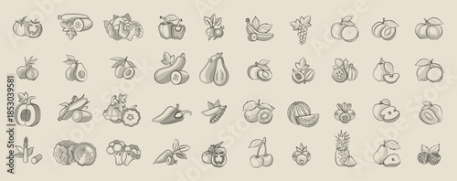 Hand-Drawn Fruits and Vegetables Sketch Style Vector Set, Organic Food Illustration Elements