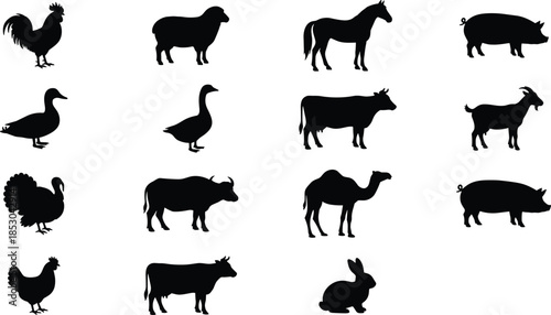 Farm animal silhouettes collection, rooster, sheep, horse, pig, duck, goose, cow, goat, turkey, bull, camel, hen, rabbit vector illustration